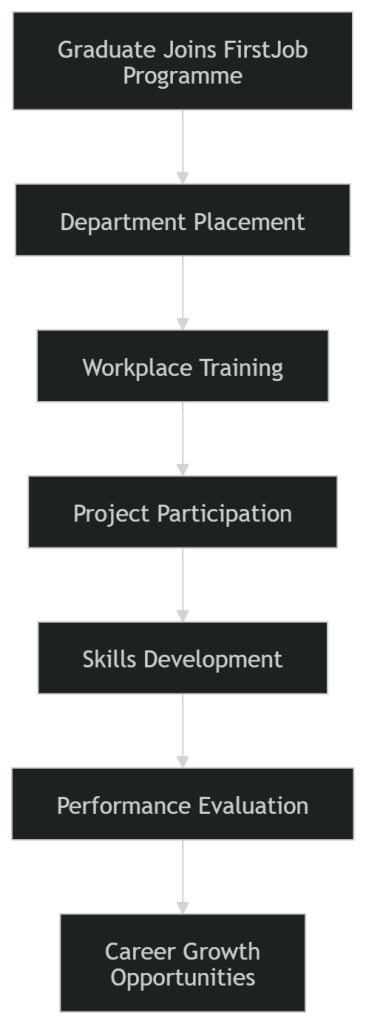 FirstRand FirstJob Graduate Programme 2026
